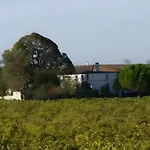 Le Vieux Noyer Réaux