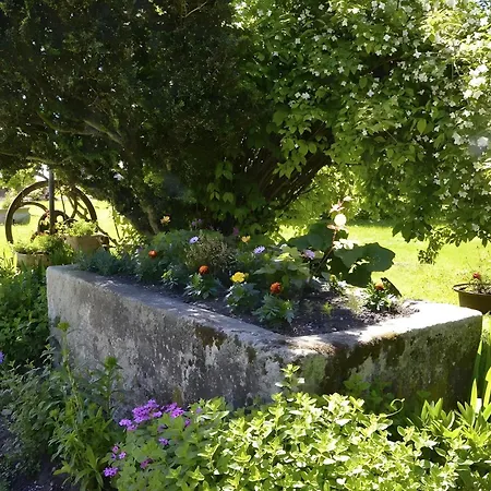 Le Vieux Noyer