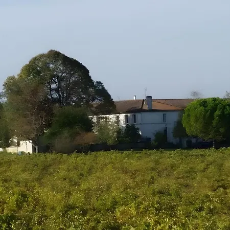 Le Vieux Noyer Réaux